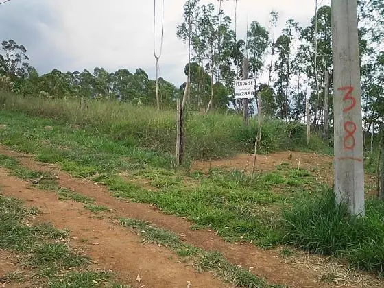 Lote 1000 m2 Jardins Continente Juiz de Fora/Coronel Pacheco