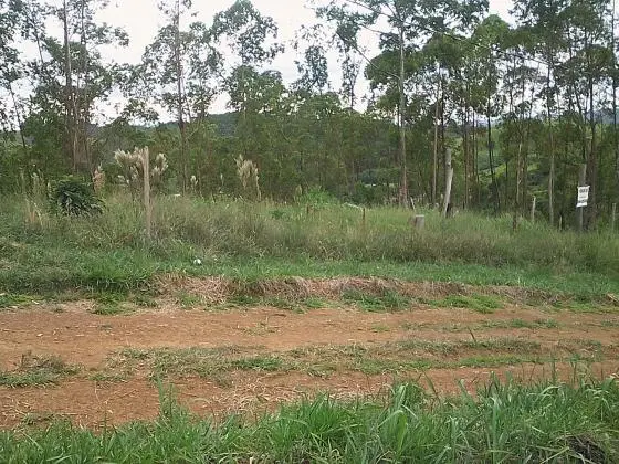 Lote 1000 m2 Jardins Continente Juiz de Fora/Coronel Pacheco