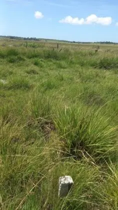 Saia do Aluguel ! Pague pouco e adquira seu patrimônio - Quem compra terra não erra !