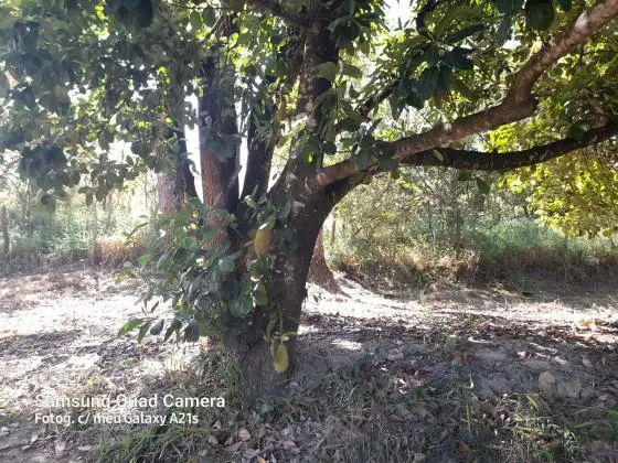 Terreno de 500m2 a menos de 10 KM do centro de Betim