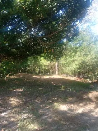 Terreno de 500m2 a menos de 10 KM do centro de Betim