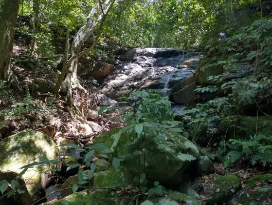 TERRENO DE 9000M2  NO MORRO CEROULA - IGREJINHA - RS