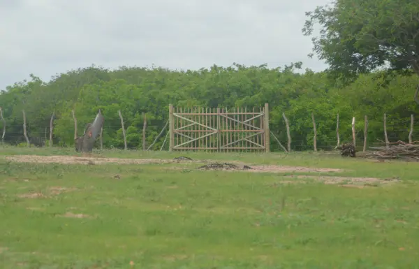 Terreno em Pontal de Maceió à venda