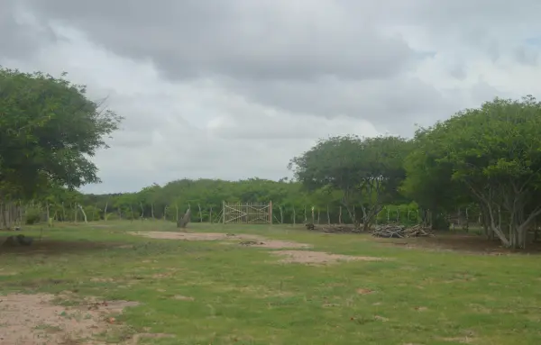 Terreno em Pontal de Maceió à venda