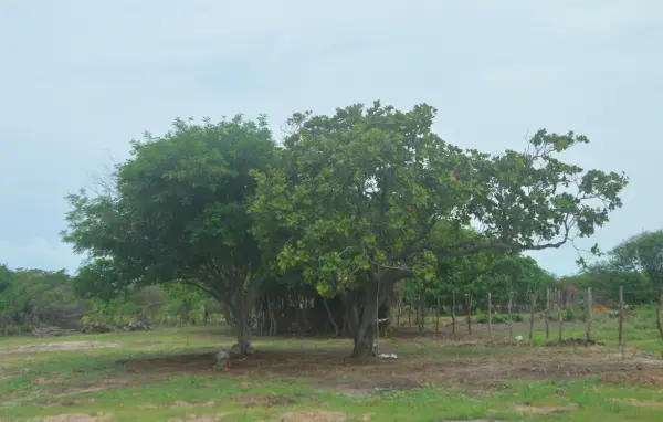 Terreno em Pontal de Maceió à venda