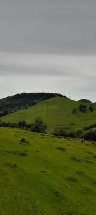 3 HECTARES A VENDA PRÓXIMO A RS-020