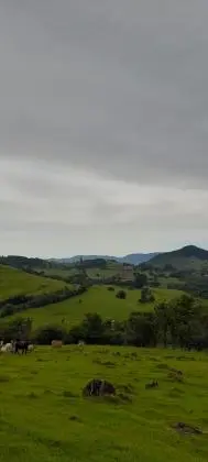 3 HECTARES A VENDA PRÓXIMO A RS-020