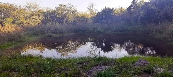 VENDA DE 1 HECTARE EM TAQUARA