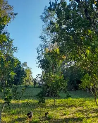 VENDA DE 1 HECTARE EM TAQUARA