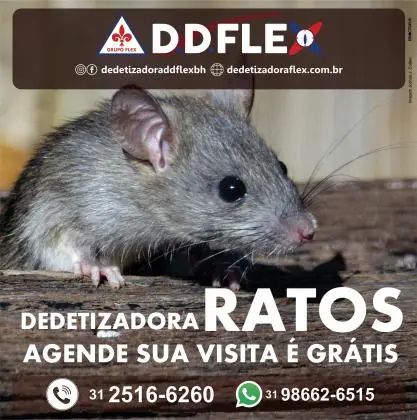 Procurando por uma dedetizadora confiável e eficiente