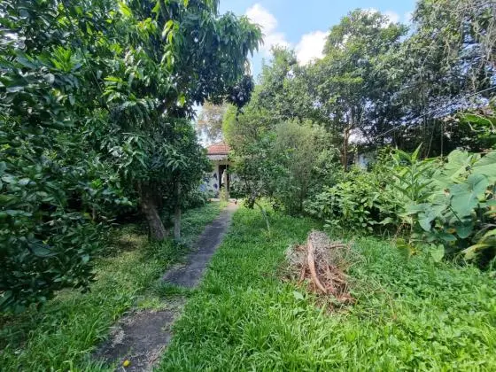 Casa de Alvenaria (154 m2), por R$ 410 mil, em Terreno amplo (432 m2), no Bairro Ipanema, em P. Alegre/RS