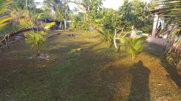 CHÁCARA À 1.500 METROS DA RODOVIA - BALNEÁRIO GAIVOTA - ITANHAÉM/SP.