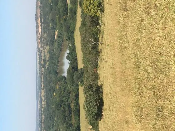 Lote em Pompéu/Abaeté