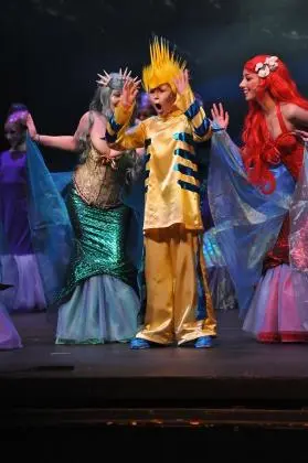 PEQUENA SEREIA, PRINCESA ARIEL ANIMAÇÃO DE FESTAS