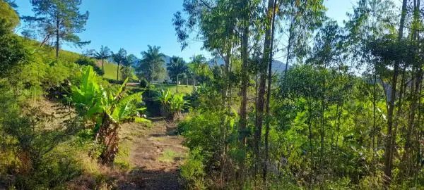 Vende-se maravilhoso sitio 109.000m2 em Tijucas, Santa Catarina