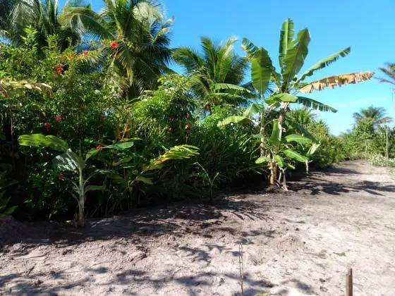 Terreno a venda no Cassange- Península de Maraú - Bahia