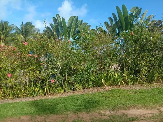Terreno a venda no Cassange- Península de Maraú - Bahia