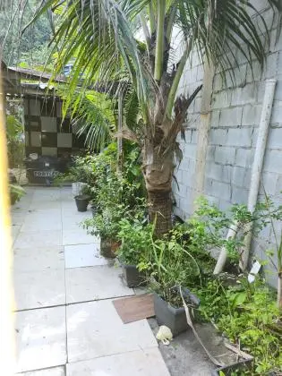 Vende-se Lindo Sitio em Mongaguá - Venda de Sítio dos Sonhos