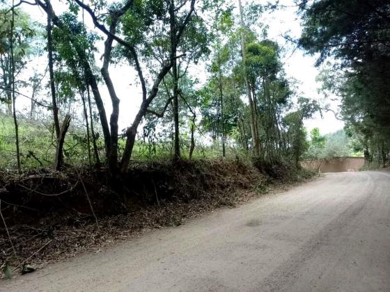 Chácara à venda em Poços de Caldas MG. 3.390m2. R$330.000, 00