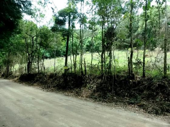 Chácara à venda em Poços de Caldas MG. 3.390m2. R$330.000, 00
