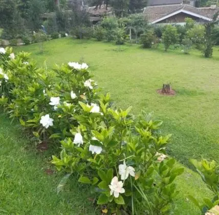 LInda Casa no Jardim Embaixador ha 700 metros da praça Capivari