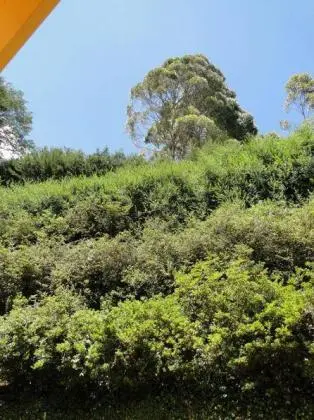 Oportunidade Linda Casa no Bairro Descansópolis