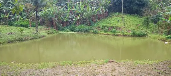 SG - Lindo Sítio - Itaguai  - Est. Caçador -  R$ 350 mil - Excelente