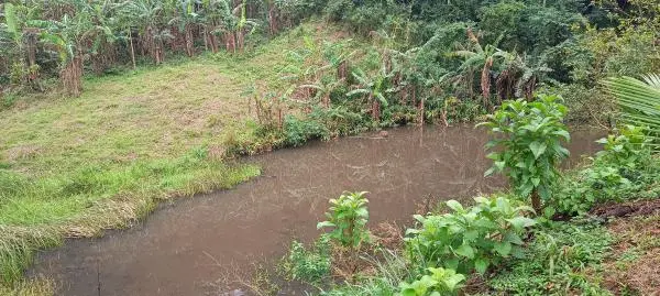 SG - Lindo Sítio - Itaguai  - Est. Caçador -  R$ 350 mil - Excelente