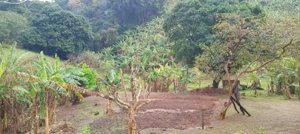 SG - Lindo Sítio - Itaguai  - Est. Caçador -  R$ 350 mil - Excelente