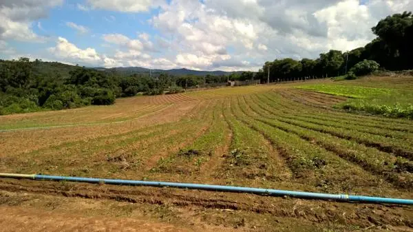 Terreno à venda em Ibiúna/SP