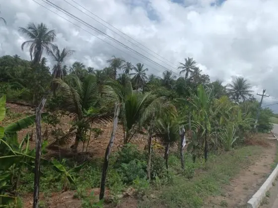 vendo área de 5.400 m2 beira da pista AL 101 Norte em camaragibe