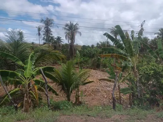 vendo área de 5.400 m2 beira da pista AL 101 Norte em camaragibe