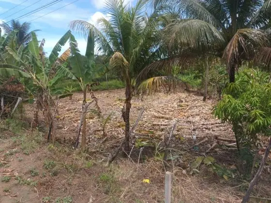 vendo área de 5.400 m2 beira da pista AL 101 Norte em camaragibe