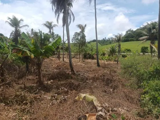 vendo área de 5.400 m2 beira da pista AL 101 Norte em camaragibe