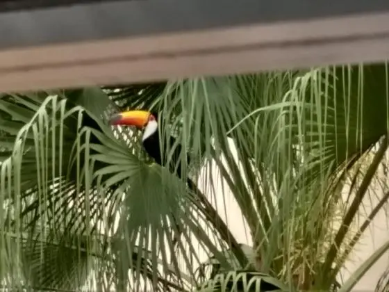 Belíssimo apartamento em condomínio fechado em Campo Grande Rio de Janeiro