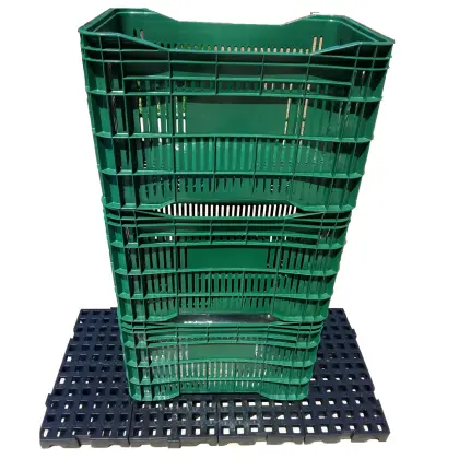 Estrados Pallet piso plástico 50x25x4, 5