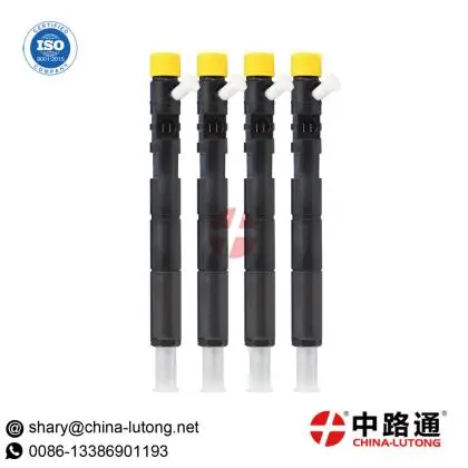 Para Bico Injetor Hr 2.5 16v Euro 5 Delphi