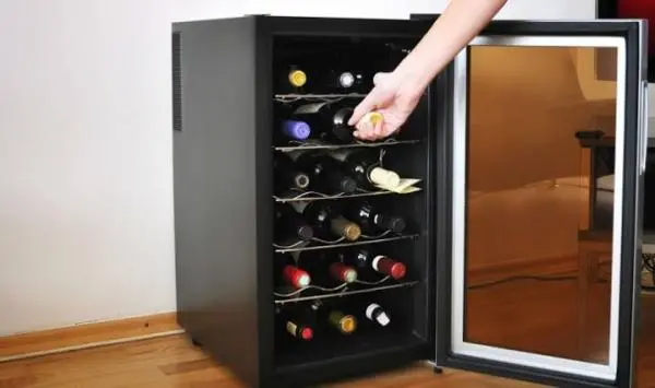Manutenção  de Adegas de vinho