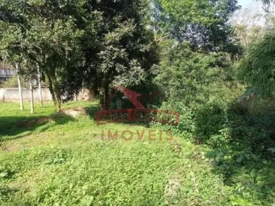 Terreno Rocio