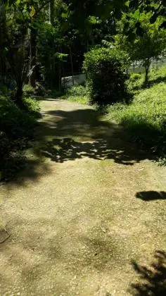 Vendo chacara na serra da cantareira Mairiporã