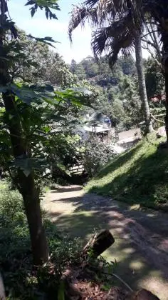 Vendo chacara na serra da cantareira Mairiporã