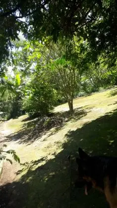 Vendo chacara na serra da cantareira Mairiporã