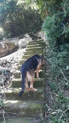 Vendo chacara na serra da cantareira Mairiporã