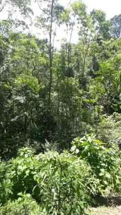 Vendo terreno serra da cantareira Mairiporã com 610 metros