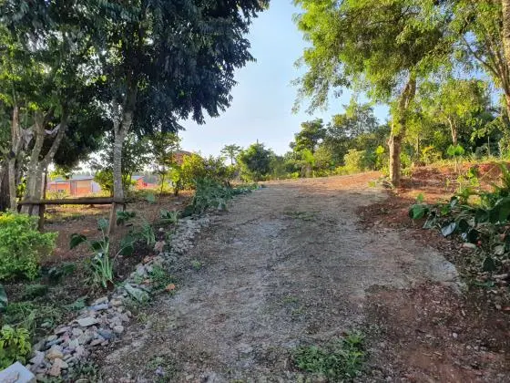 Vendo chácara em São Miguel arcanjo sp