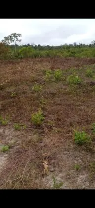 Fazenda com uma área de 100 alqueires