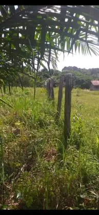 Fazenda com uma área de 100 alqueires