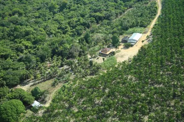 Localização no estado do Pará município de Tomé-açú cidade quatros bocas, a 30 km de quatros  bocas