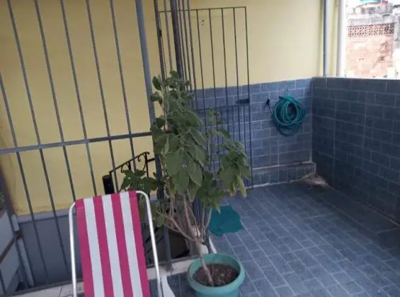 Casa triplex