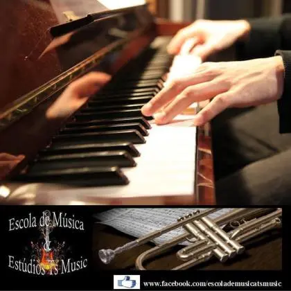 Técnico de pianos musicais
